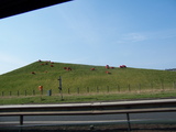 [31st March 2007, 14:01:17]